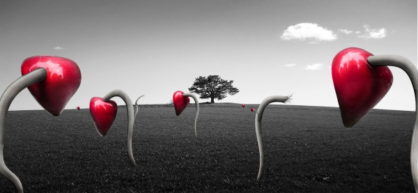 Creation of Field of hearts: Step 8